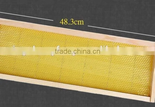 Best Sale Honey Comb Beeswax Foundation Sheet/ Plastic Comb Foundation photo-2