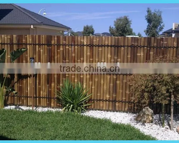 Wy-C089 Bamboo Fence photo-3