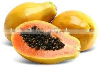 Papaya/pawpaw Multiple Layer Continuous Type Mesh Belt Dryer photo-6