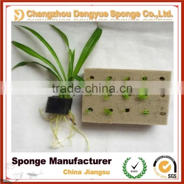 Family Farm Organic Cultivation Eco-friendly Moisture Retain Healthy Planting Foam photo-5
