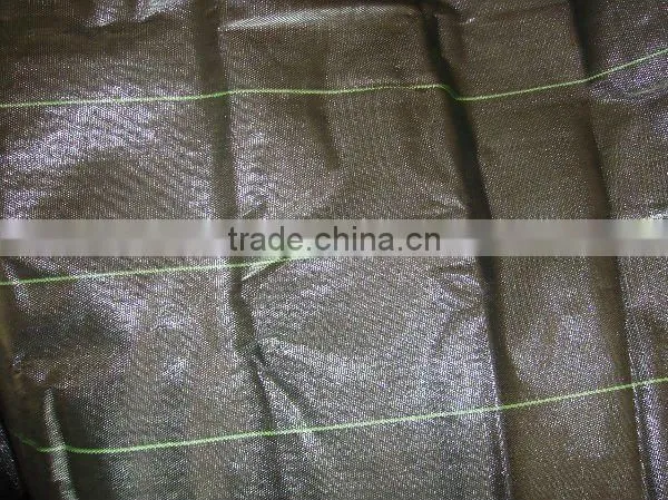 Anti Weed Mat Weed Control Ground Cover, Ground Cover Supplier, HDPE Woven Camping Mat photo-3