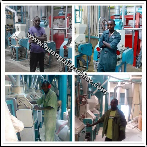 Mini Product Making Machine Wheat Milling Plant Wheat Grinding Mill With Price photo-5