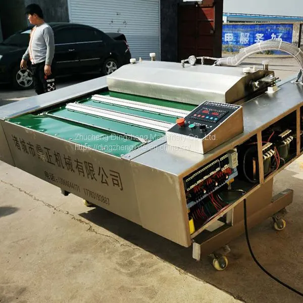 Dz 400 Vacuum Machine Food Packaging Sealer/Pillow Vacuum Packing Machine Price photo-3