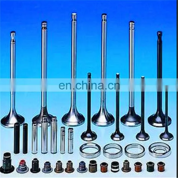 GAS Enigne Valve for MWM Deutz TBD620 V12 TD226b TGG2020 V12 V16 V20 Generator Spare Parts Valve Seats and Guides photo-2