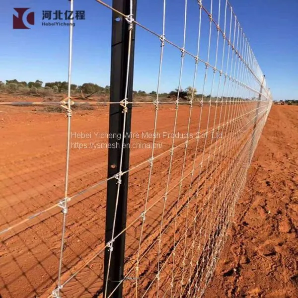 Surrounding Type Metal Fence for Grassland /field Fence Attractive Appearance photo-4