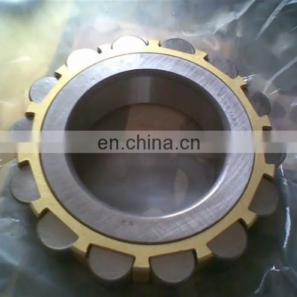 100752202 Double Row Eccentric Bearing 100752202 Reducer Bearing photo-4