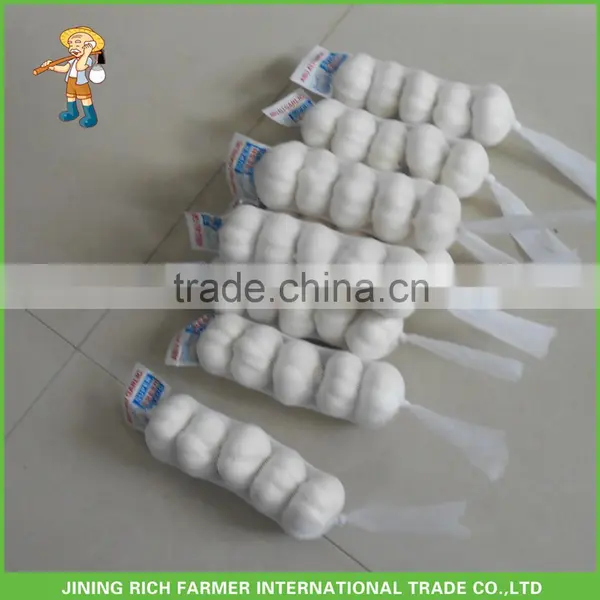 10kg/Carton Wholesale Garlic With Garlic