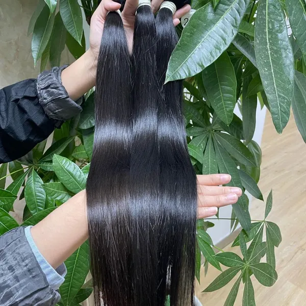 KHH Best Quality Wholesale Price Raw Unprocessed Virgin Indian Hair From India photo-3