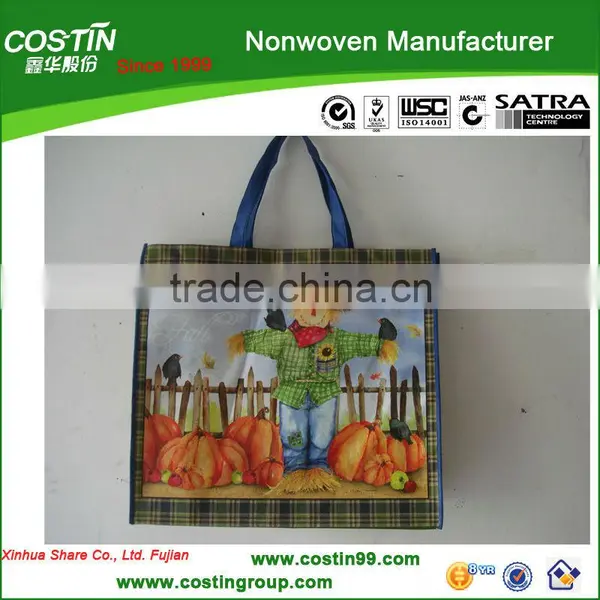 Recycle Nonwoven Pet Shopping Bag
