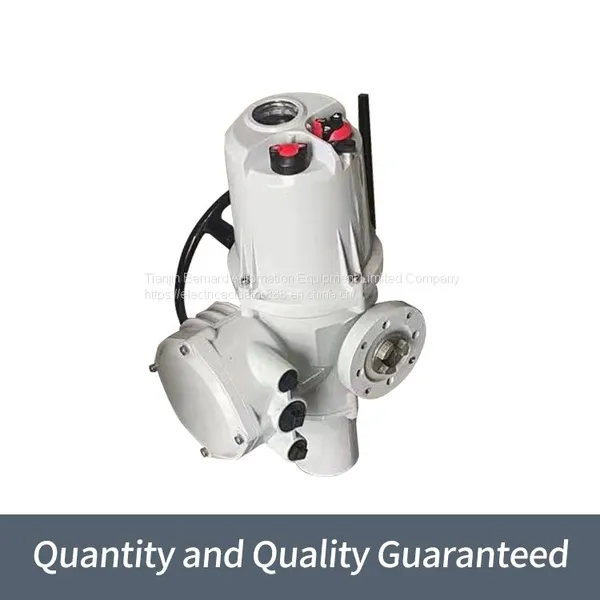 Rotoque Multi Turn Gate Valves Are Split High Temperature Resistant Actuators photo-5