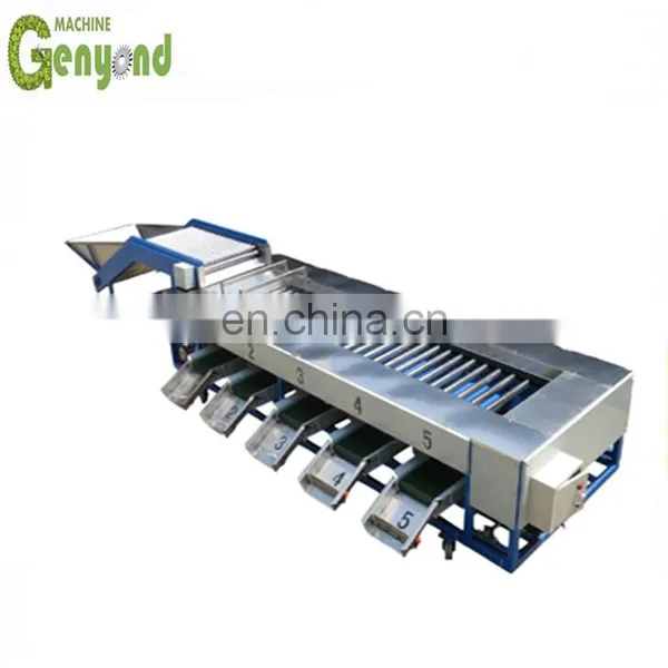 1T Grading Machine for Olives photo-4