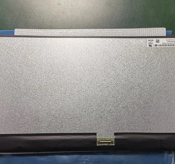 11.6 Inches EV116FHM-N10 photo-4