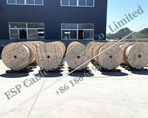 TEC Line photo-4