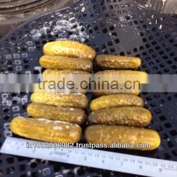 Gherkins