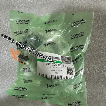 DOOSAN & DEVELON 301202-00153 RAELY photo-3