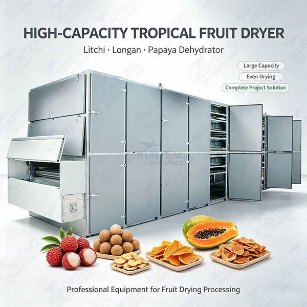 High Capacity Litchi Longan Dryer Papaya Dehydrator Tropical Fruit Drying Equipment for Complete Fruit Drying Project EPC