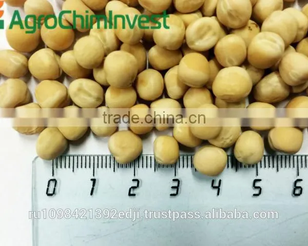 YELLOW PEAS