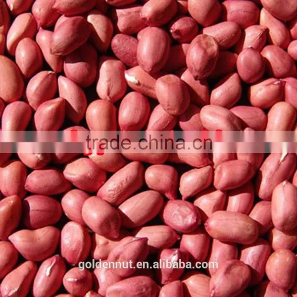 Chinese Red Skin Peanuts 50/60 Shandong FOR MACEDONIA /ALBANIA/NETHERLAND/TUNISIA photo-4