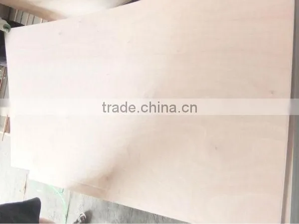 18MMX1220X2440 Competitive Price Commercial Plywood photo-6