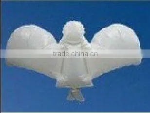 Party Bio angel balloons