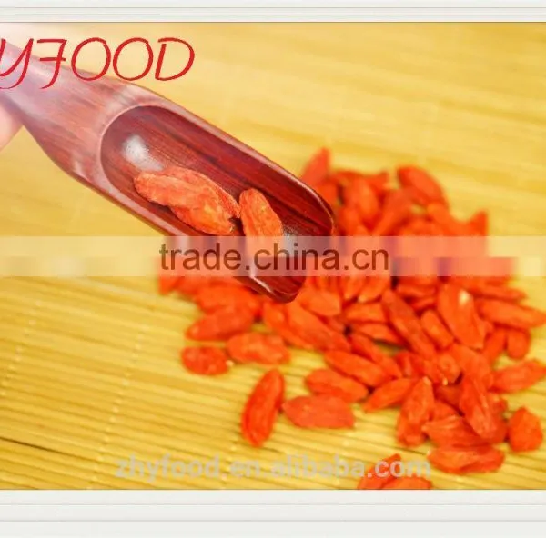 Organic Dried Goji Berry Certificated Health Food Pesticied Free