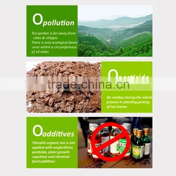 Best Organic Black Tea 2016 New Spring Tea photo-4