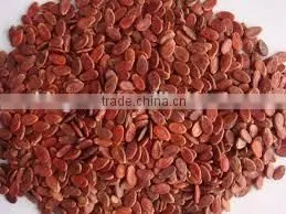 Supply Melon Seeds , Good Quality Red Watermelon Seeds Kernels for Sale photo-5