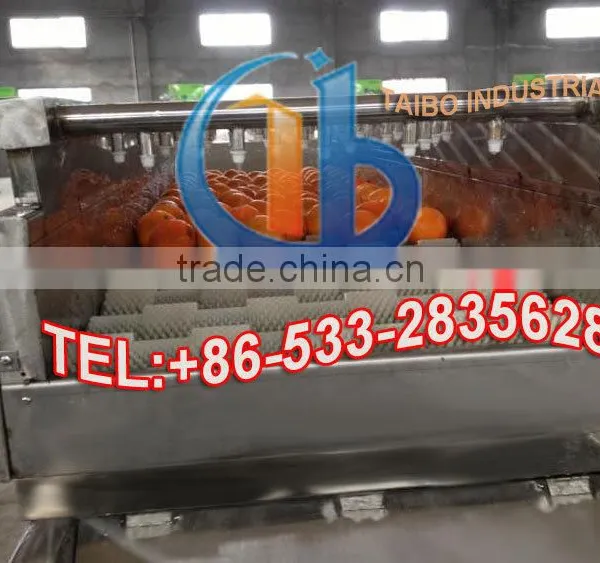 Air Bubble Fruit and Vegetable Washer / Orange Washing Machine photo-5