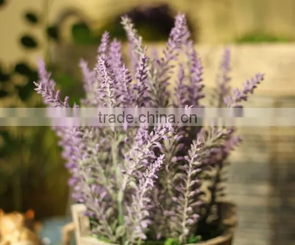 Wholesale Wooden Cask Hanging Plant Bonsai Decorative Bonsai Plant Sale photo-5
