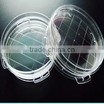 High Quality 55mm Disposable Petri Dish photo-2