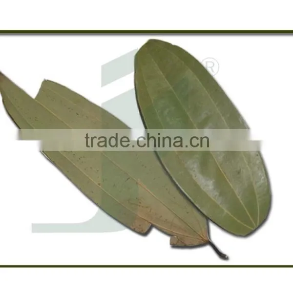 CINNAMOMUM TAMALA