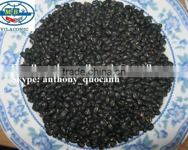 2014 Crop Green Mung Bean-anthony.vilaconic@gmail.com photo-2
