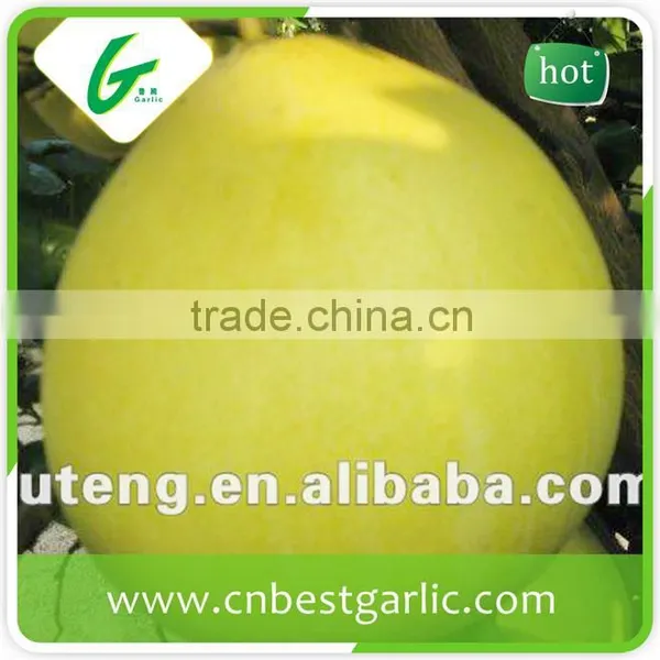 Fresh Sweet Honey Pomelo From China photo-2