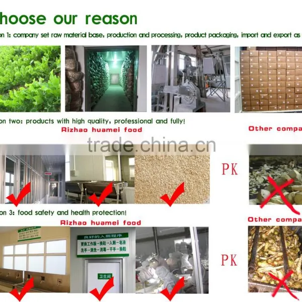 The Latest Wasabi Paste From Rizhaohuamei photo-5