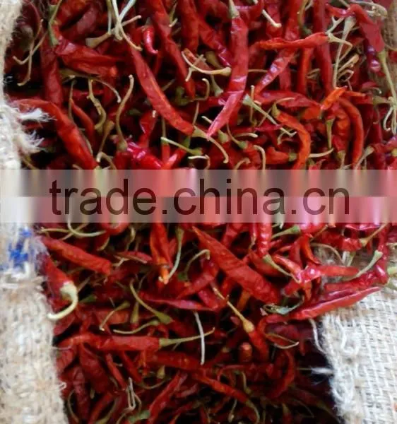 Red Chilli photo-2