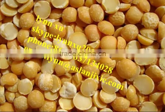 Soybean Peeling Machine / Soybean Skin Removing Machine photo-3