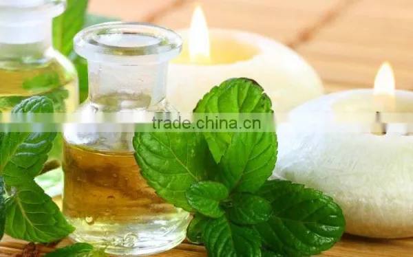NATURAL PEPPERMINT OIL,wholesale Pure Peppermint Oil photo-2
