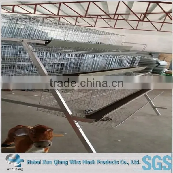 H Type 120 Layers Chicken Cage Laying Hens photo-2