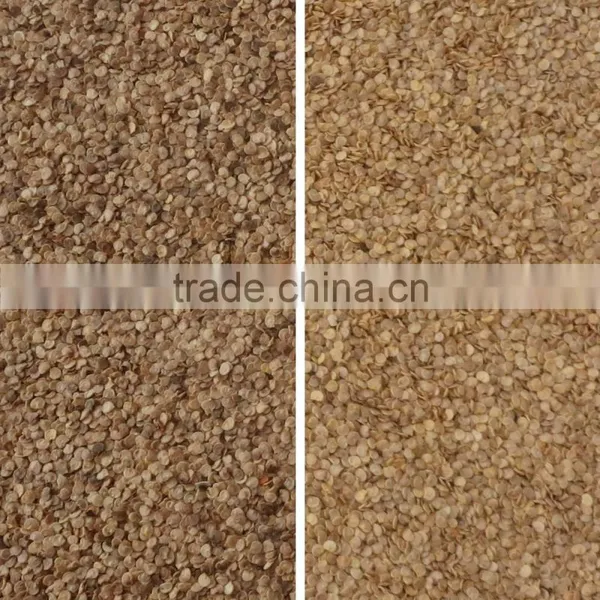 China Best Chili Seed Color Sorter photo-2