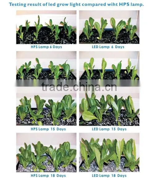 Upgrade and Newly Developed UFO LED Grow Light Full Spectrum 2nd Generation Series 300w Plants Light photo-4