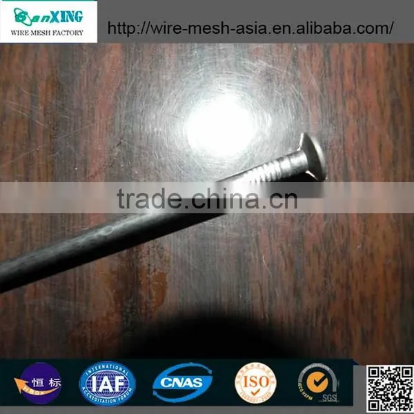 Factory Price Galvanzied Concrete Steel Nails photo-2
