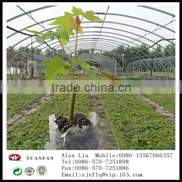 Non-woven Fruit Insect-resistant Bags, Nonwoven Bag of Banana ,Non Woven Bag of Grapes photo-5