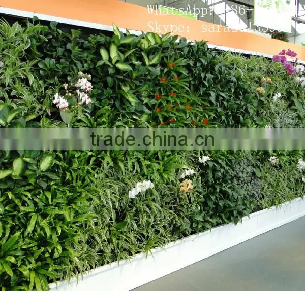 SJCHY5234 Custom Make Landscaping Artificial Grass Wall,foliage Wall Artificial photo-2