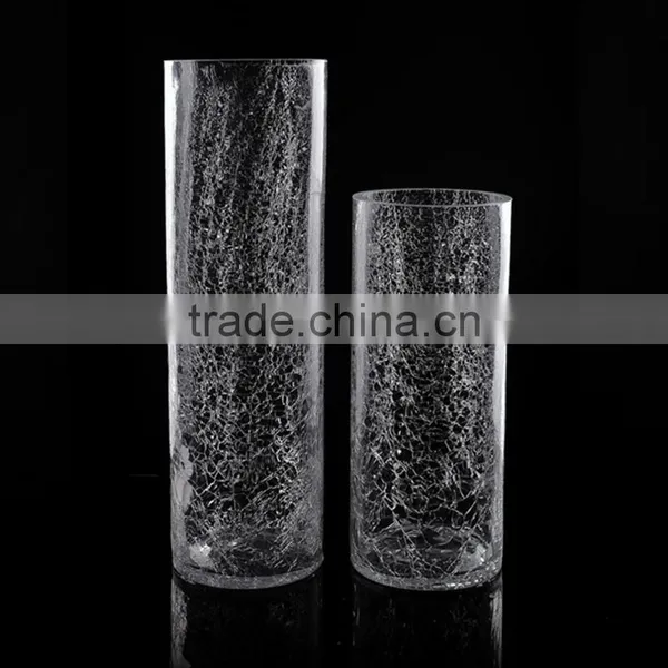 High Quality Fashionable Glass Vase for Flower / Clean Glass Vase / Glass Vase photo-5