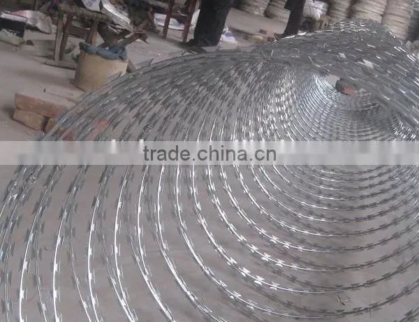 High Quality Tensile Strength Razer Galvanized Iron Barbed Wire/RAZER Barbed Wire Factory photo-2