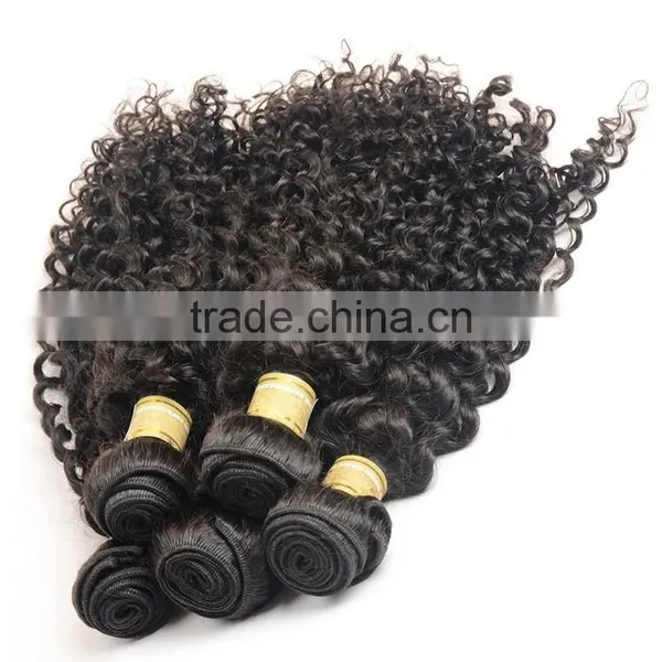 Unprocessed Virign Indian Human Hair Weaves Curly Wholesale Kinky Curly Indian Hair Extensions photo-5