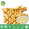 Soybean Extract