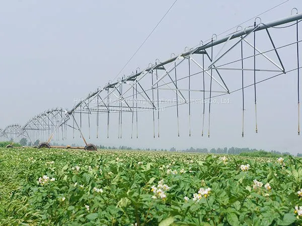 Center- Pivot Irrigation Machines photo-2