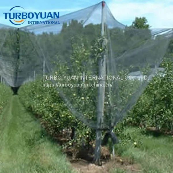 Agriculture Plastic Quad Protection Mesh Netting / Black Anti Hail Cover Nets for Apple Tree