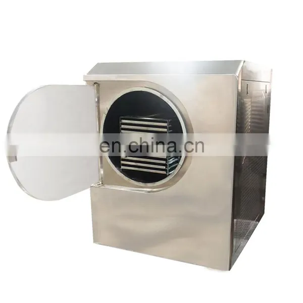 Vacuum Freeze Dryer Machine for Vegetables and Fruits Food Cold Drying for Juice Flowers Industry Using photo-4